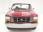 Thumbnail Photo 6 for 1994 Ford F150